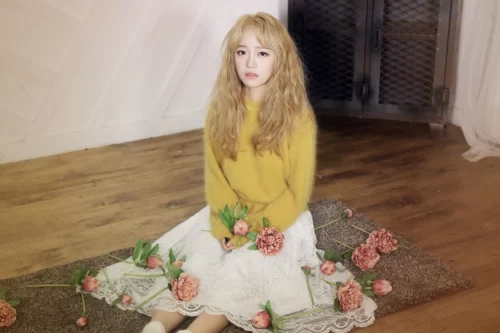 Músicas de kpop sobre família