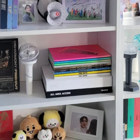 Uma coleção de kpop, com álbuns lightsticks e pelúcias