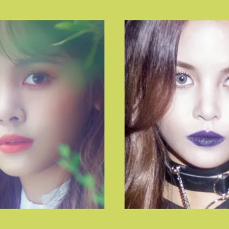 Os diferentes conceitos do kpop