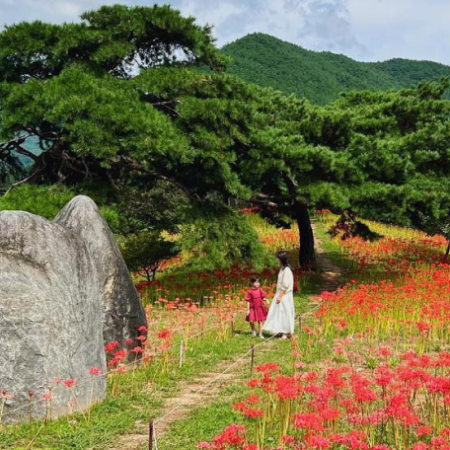 Hamimommy em uma das fotos Tumblr na Coreia da lista