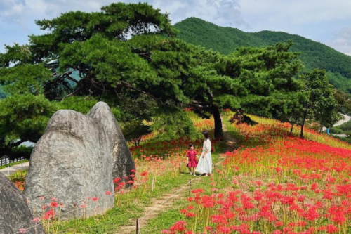 Hamimommy em uma das fotos Tumblr na Coreia da lista