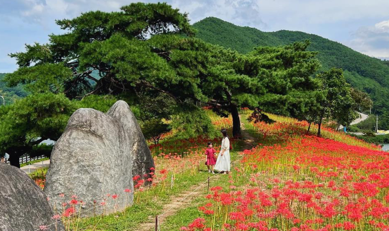 Hamimommy em uma das fotos Tumblr na Coreia da lista