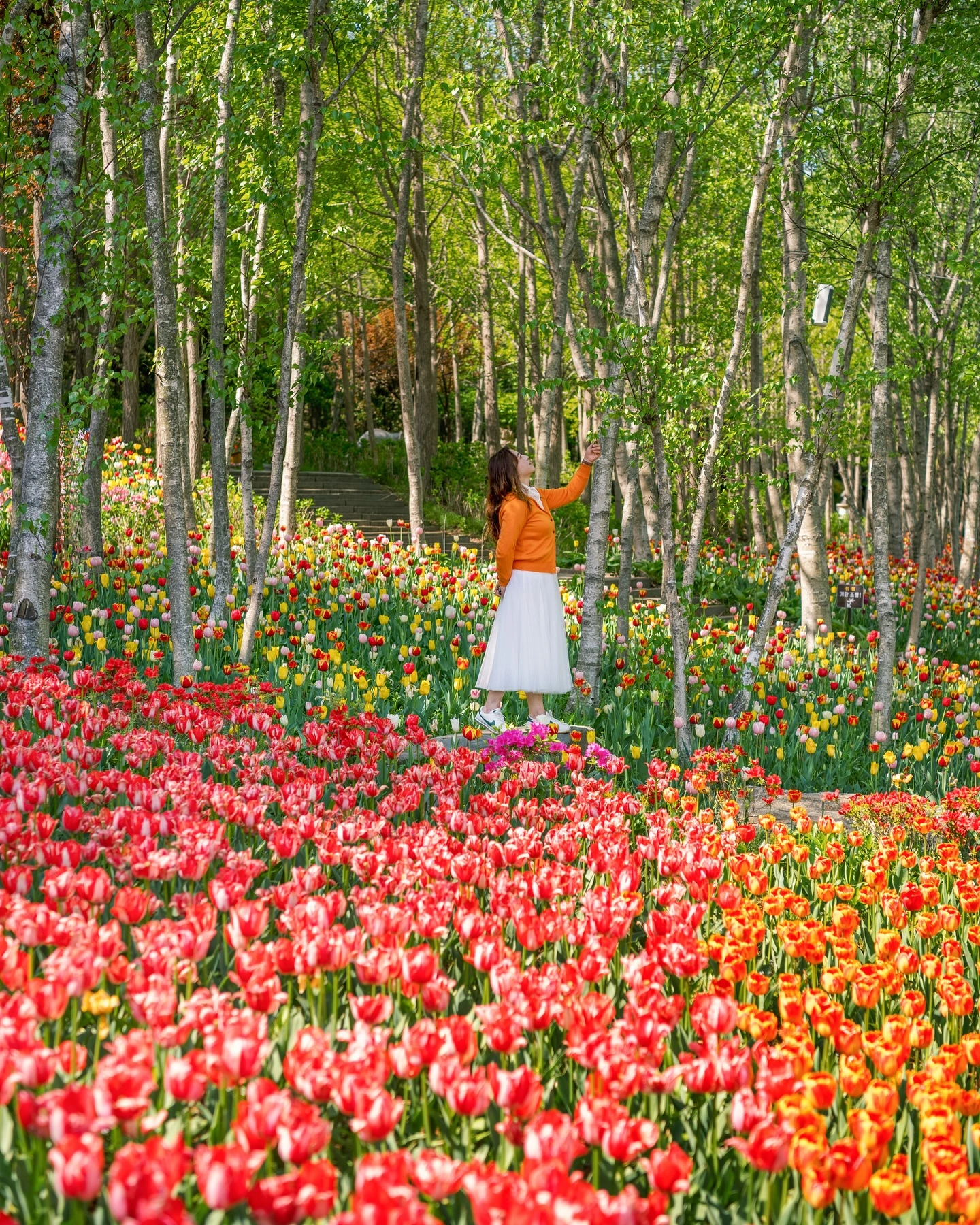 Uma das fotos tumblr na Coreia, feita na Pinnacle Land
