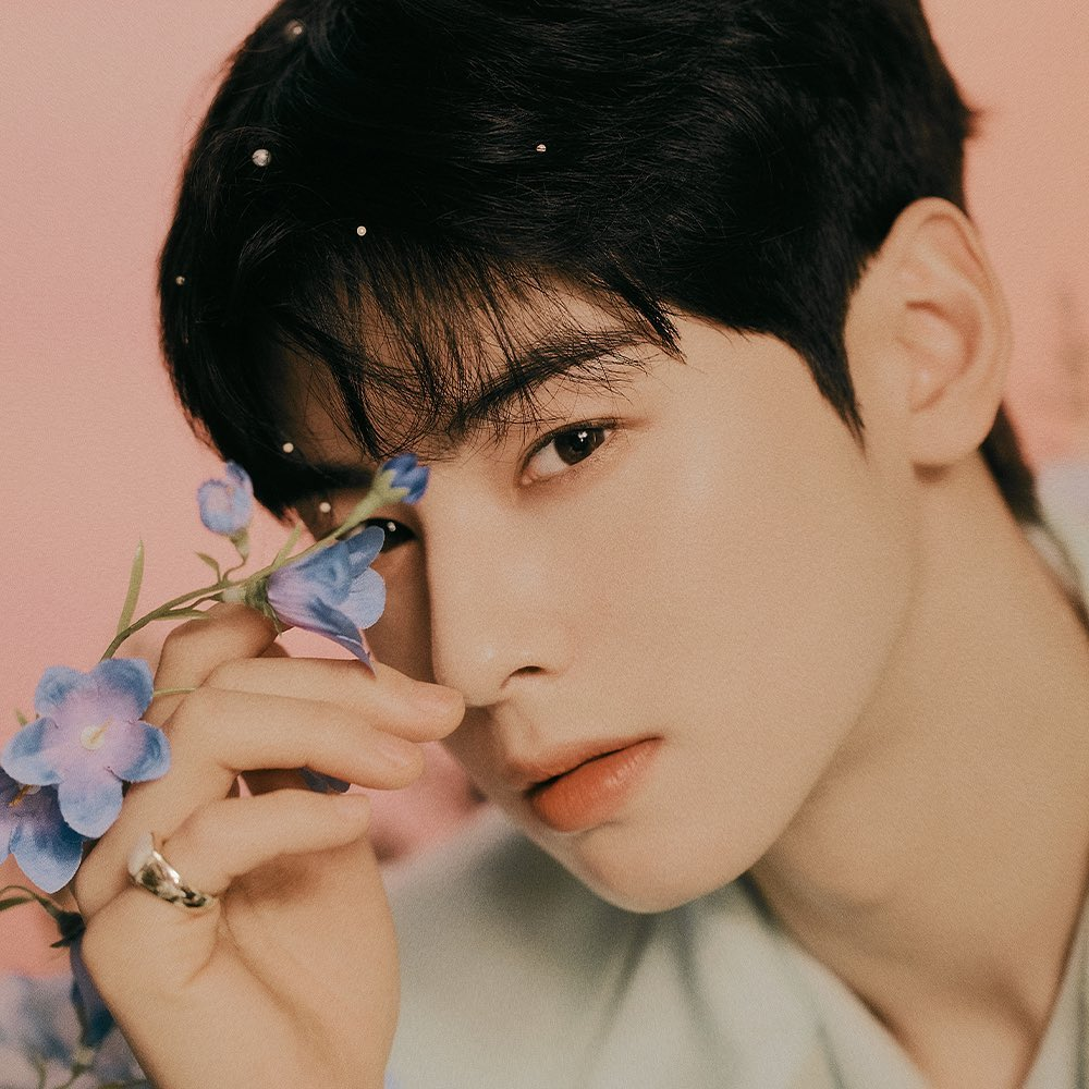 Cha Eunwoo também representa o que é face no kpop